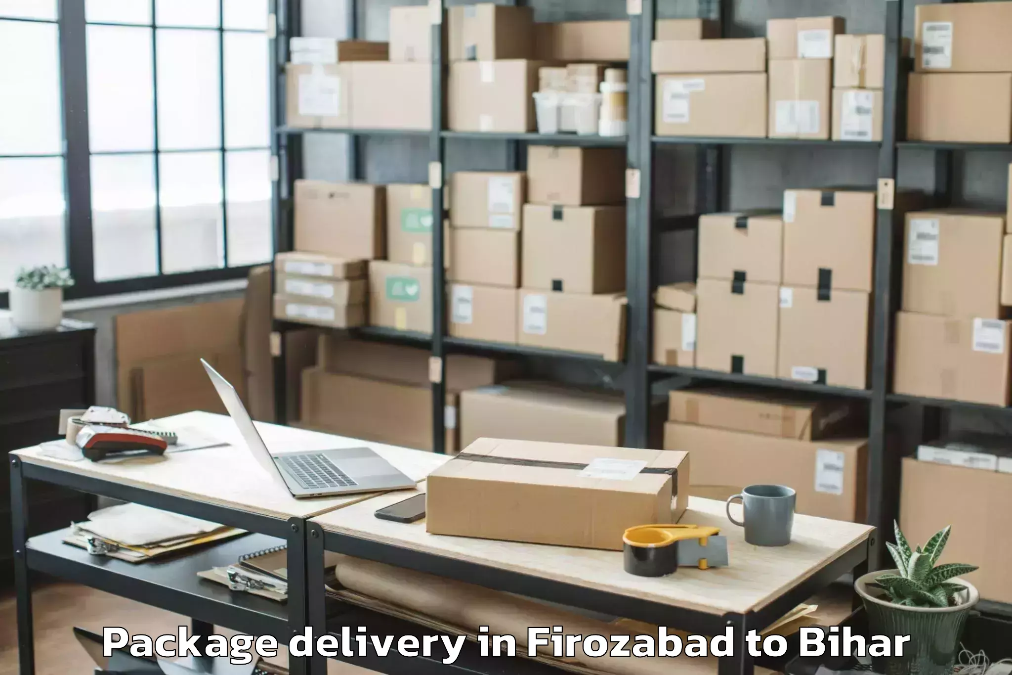 Professional Firozabad to Singhia Package Delivery